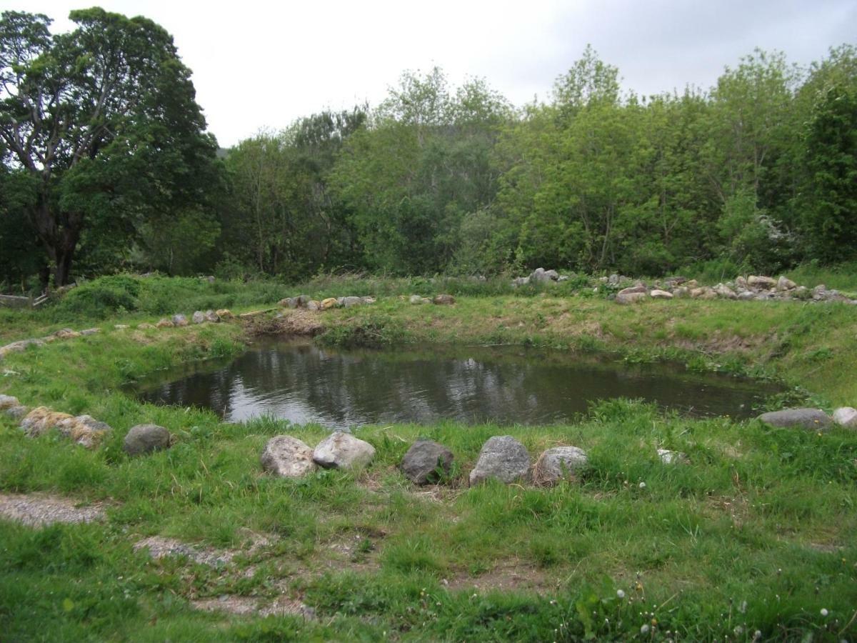 Cosy Ground Floor Disabled Friendly Room In Farm House Llandderfel Esterno foto